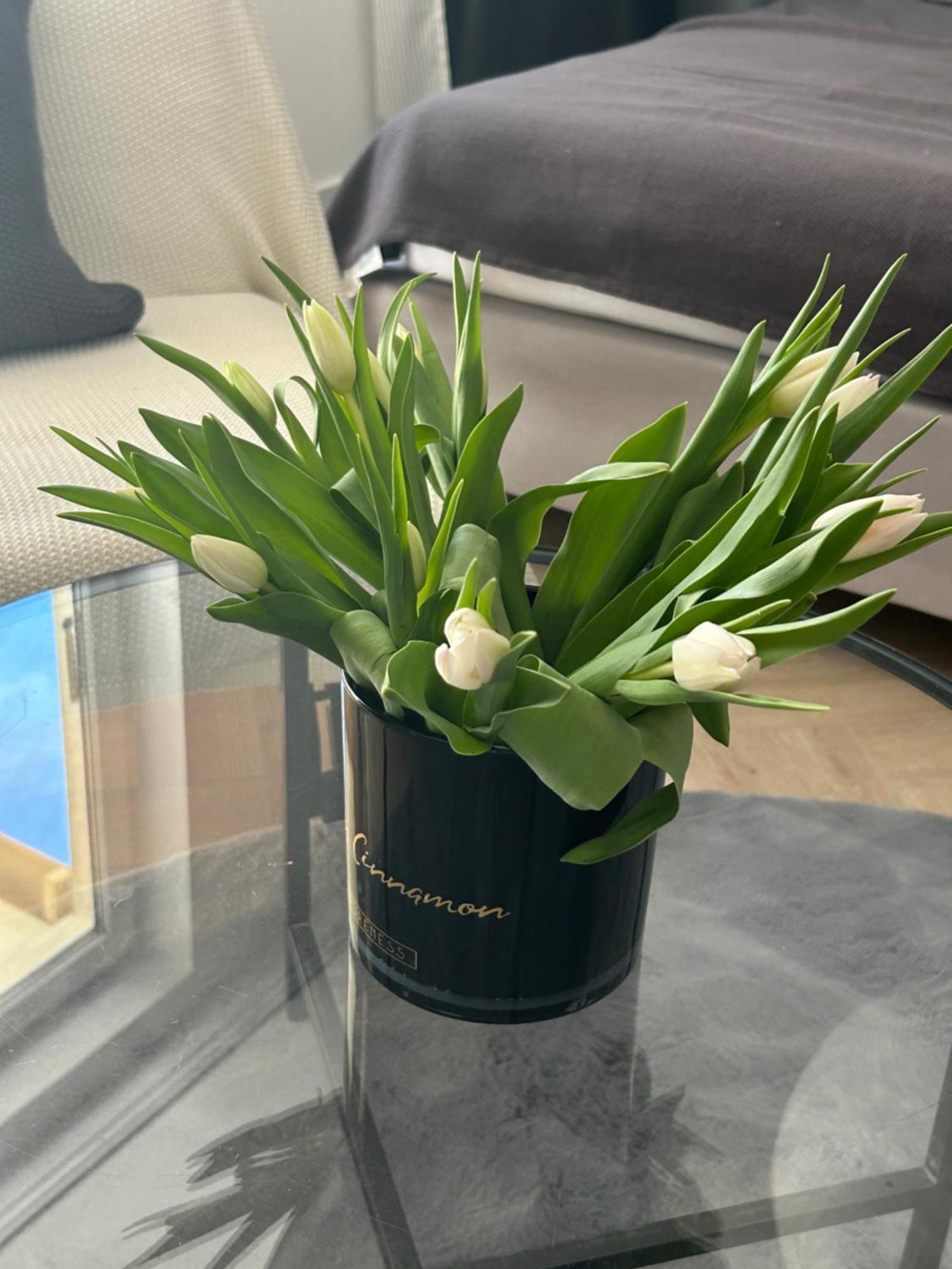 Apartament Eve Witawa Gdynia Esterno foto